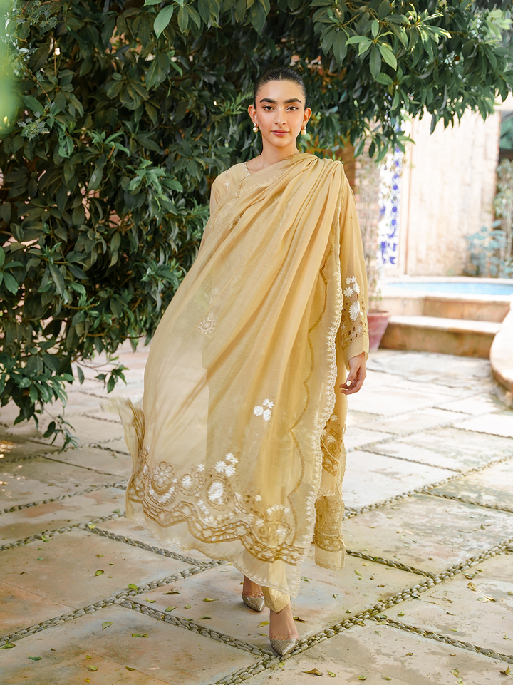 Beige Embroidered 3 Piece Set