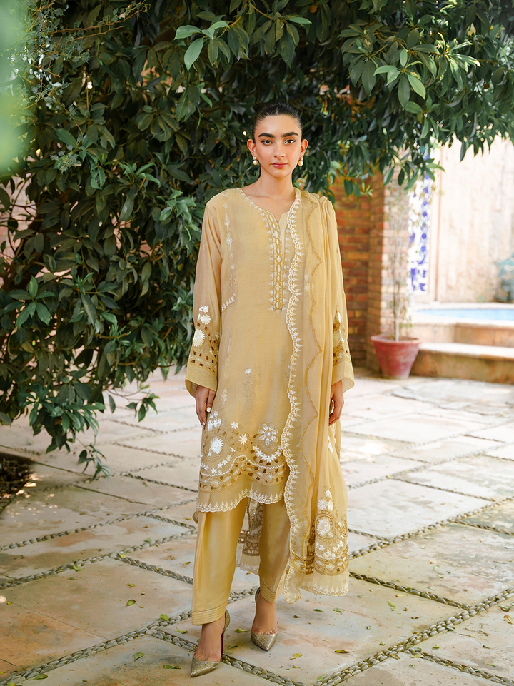Beige Embroidered 3 Piece Set