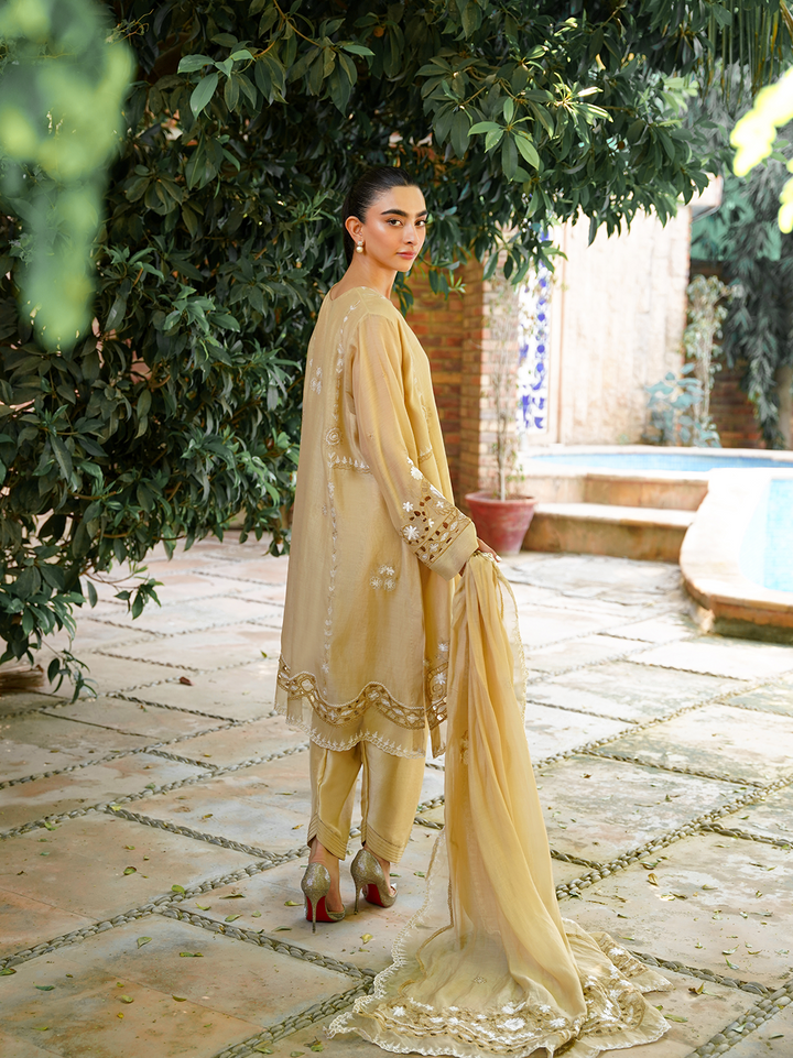 Beige Embroidered 3 Piece Set