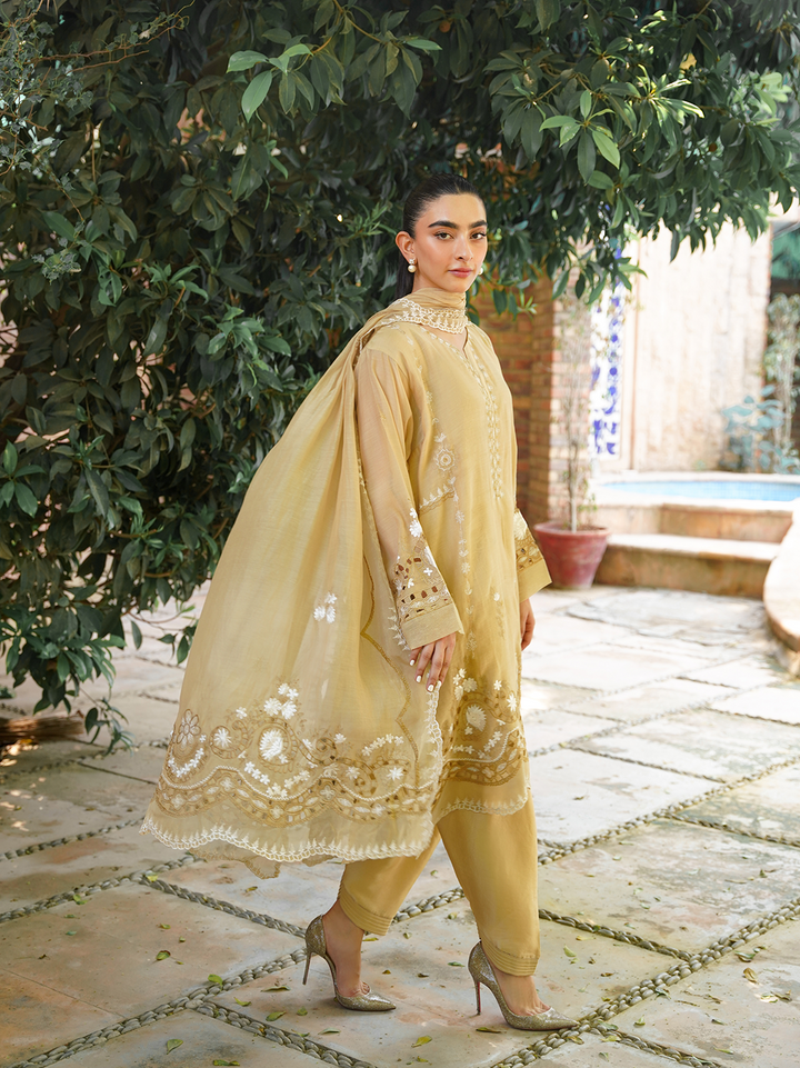 Beige Embroidered 3 Piece Set