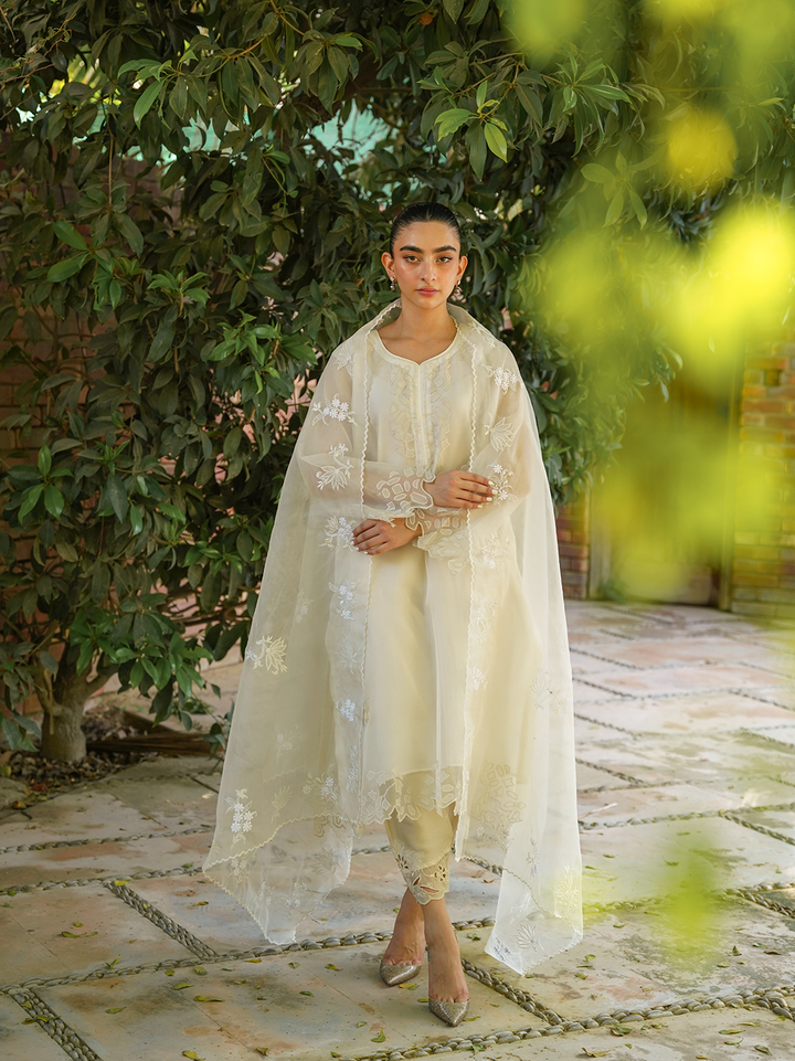 Ivory Organza 3D 3-Piece Set